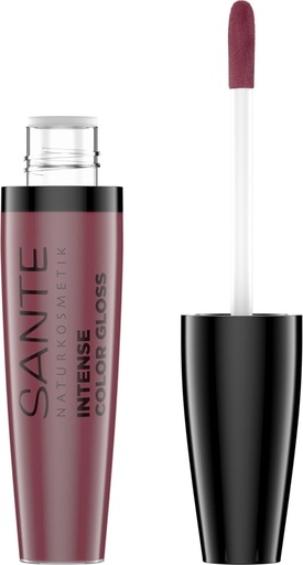 [SAN_234_V3] SANTE Intense Color Gloss Stubborn Plum